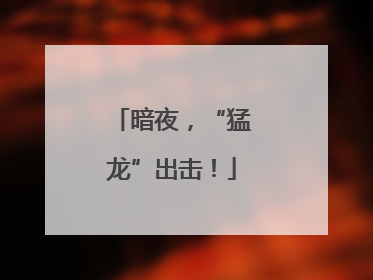 暗夜，“猛龙”出击！